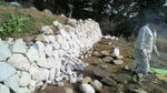 2010021710030000.jpg