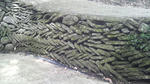 2010021710190000.jpg
