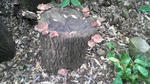 2010022713020000.jpg