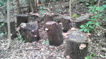 2010022713030000.jpg