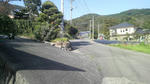2010022816180001.jpg