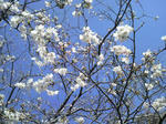 2010032114350000.jpg