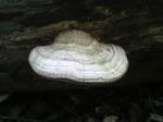 2010032207570000.jpg