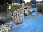 2010040409250000.jpg