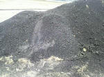 2010042613570000.jpg