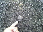 2010042613500001.jpg