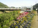 2010042916540000.jpg