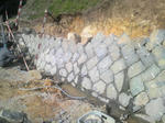 2010051216120001.jpg