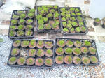 2010052616460002.jpg