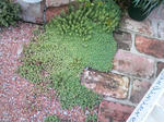 2010052616460000.jpg