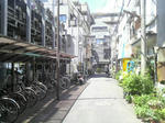 2010052813240000.jpg
