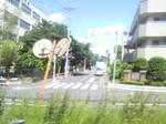 2010052813370000.jpg