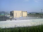 2010061617250000.jpg