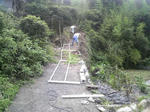 2010073108560000.jpg