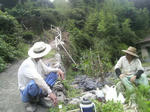2010073111450000.jpg
