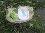 2010080106540000.jpg
