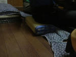 2010080521320000.jpg
