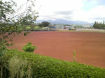 2010083011080001.jpg