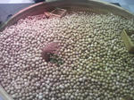 2010090719330000.jpg