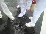 2010091915350000.jpg