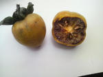 2010092614290000.jpg