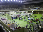 2010100813230000.jpg