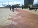 2010101111340001.jpg