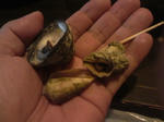 2010101220160001.jpg