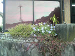 2010101909290000.jpg