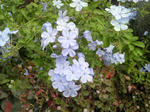 2010101909290001.jpg