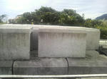 2010103013350001.jpg