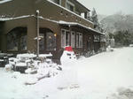 2010123110140001.jpg