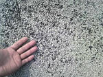 2011020513270001.jpg