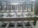 2011021709580000.jpg