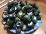 2011021819280000.jpg