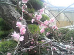 2011022716580000.jpg