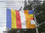 2011031910130000.jpg