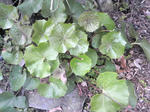 2011032507400000.jpg