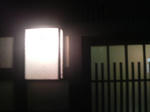 2011032922070000.jpg