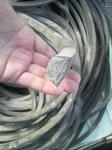 2011021610120000.jpg