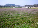 DSC_0063.jpg