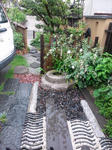 DSC_0066.jpg