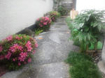 DSC_0095.jpg