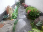 DSC_0096.jpg
