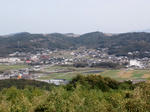 DSC_1290.jpg
