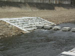 PICT0244.JPG