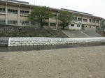 PICT0257.JPG