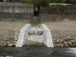 PICT0252.JPG