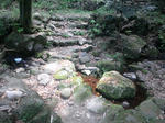 DSC_1367.jpg