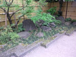 DSC_1329.jpg
